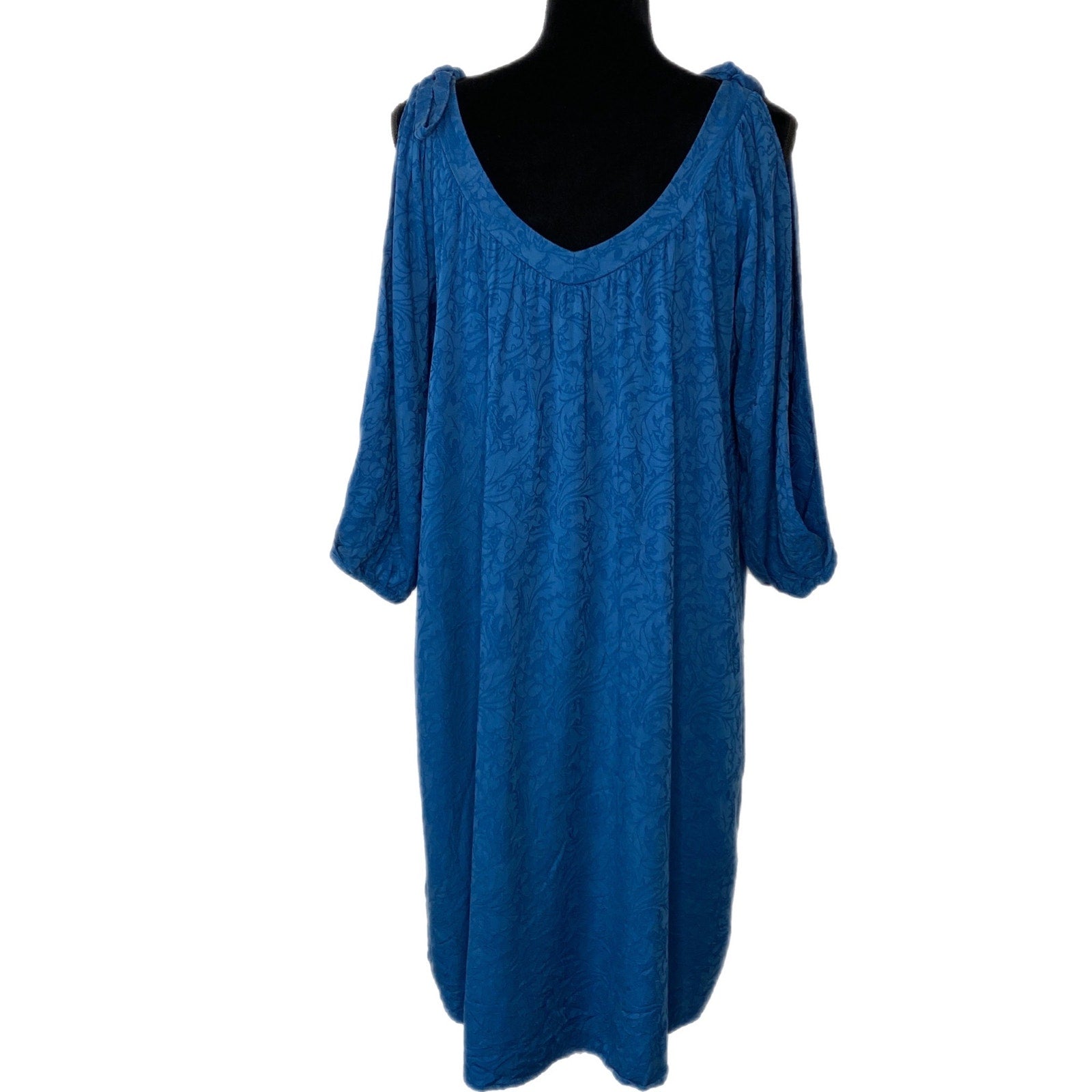 holding horses blue dress The Story Behind the Big Blue Dress!