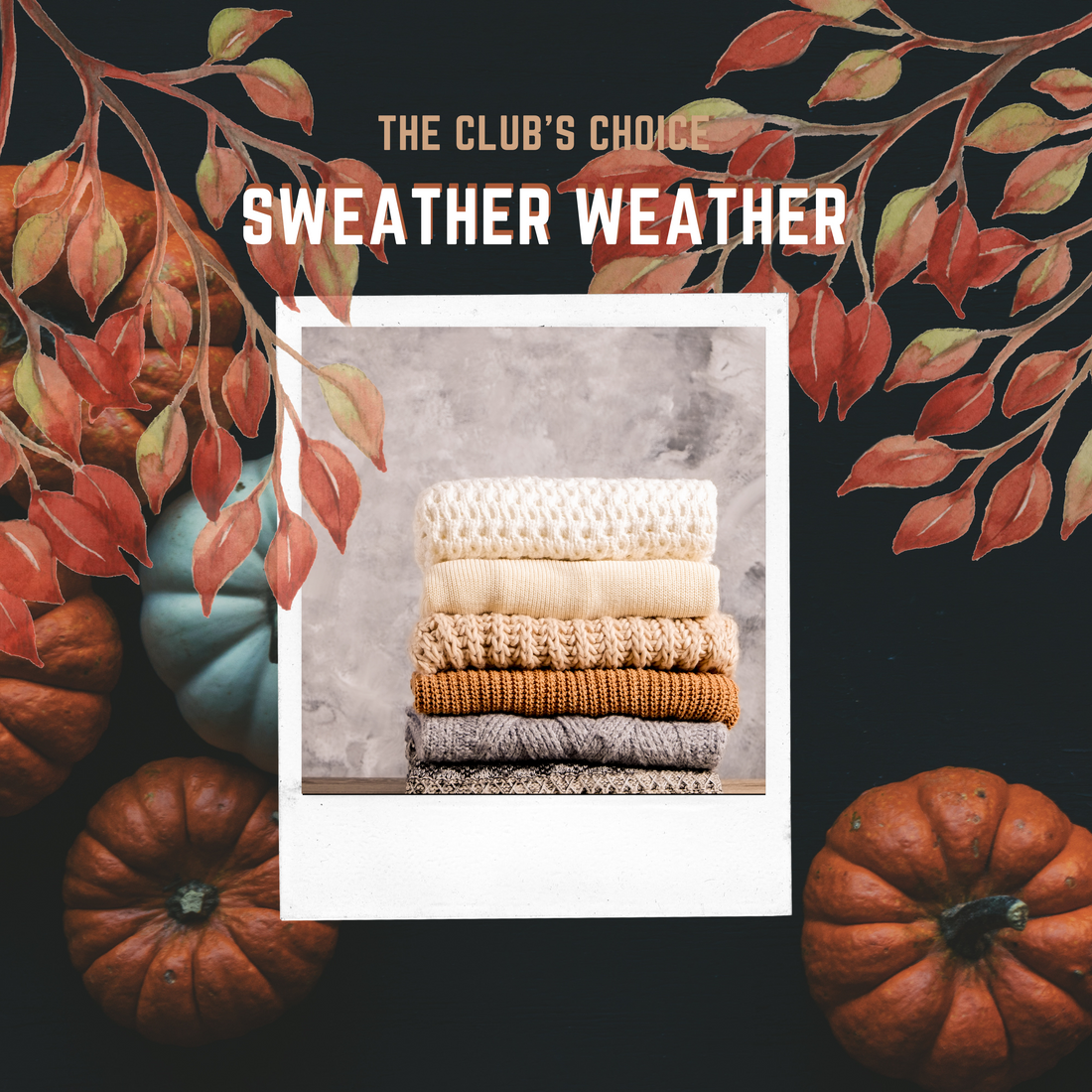 The Club's Choice: Sweater Weather
