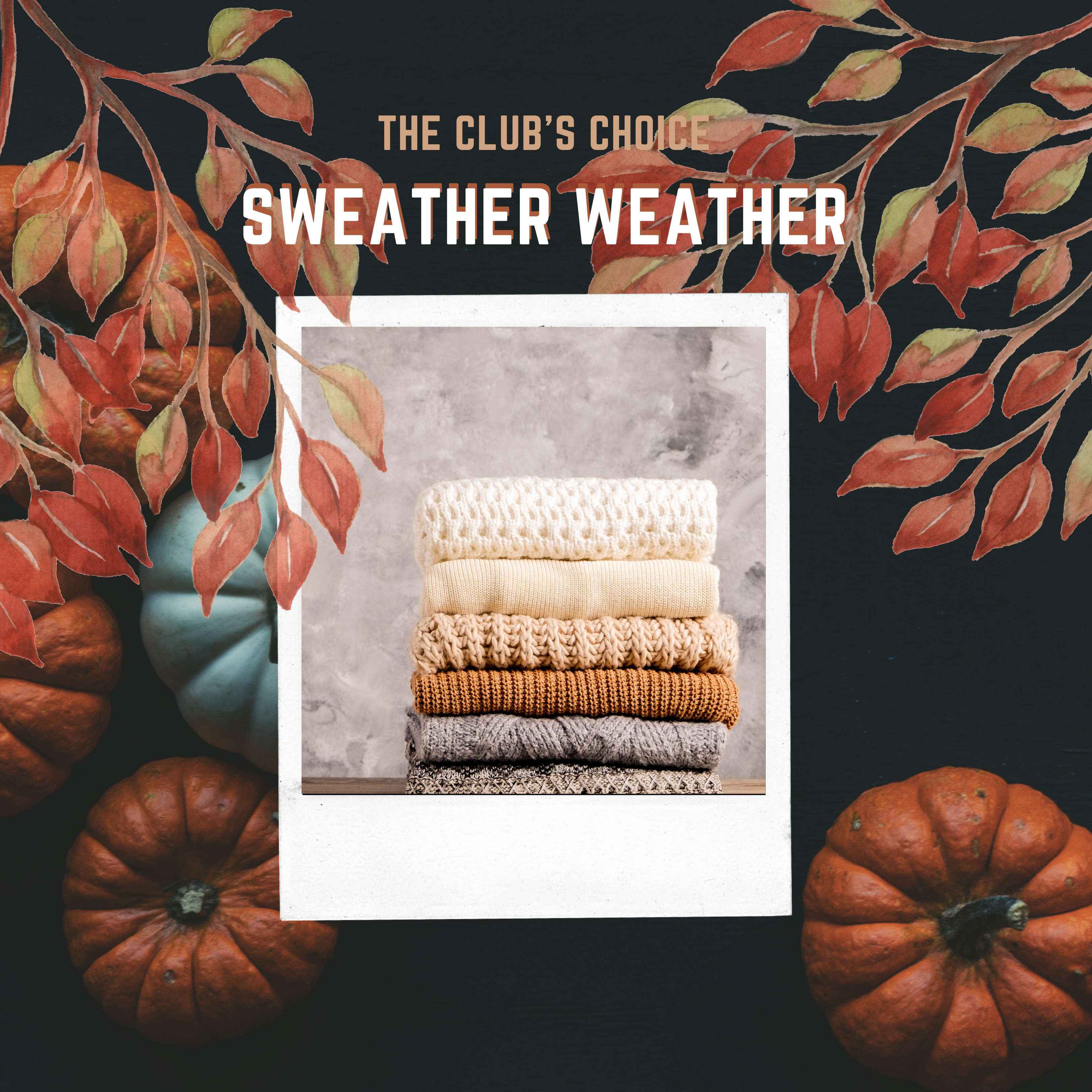 The Club's Choice: Sweater Weather