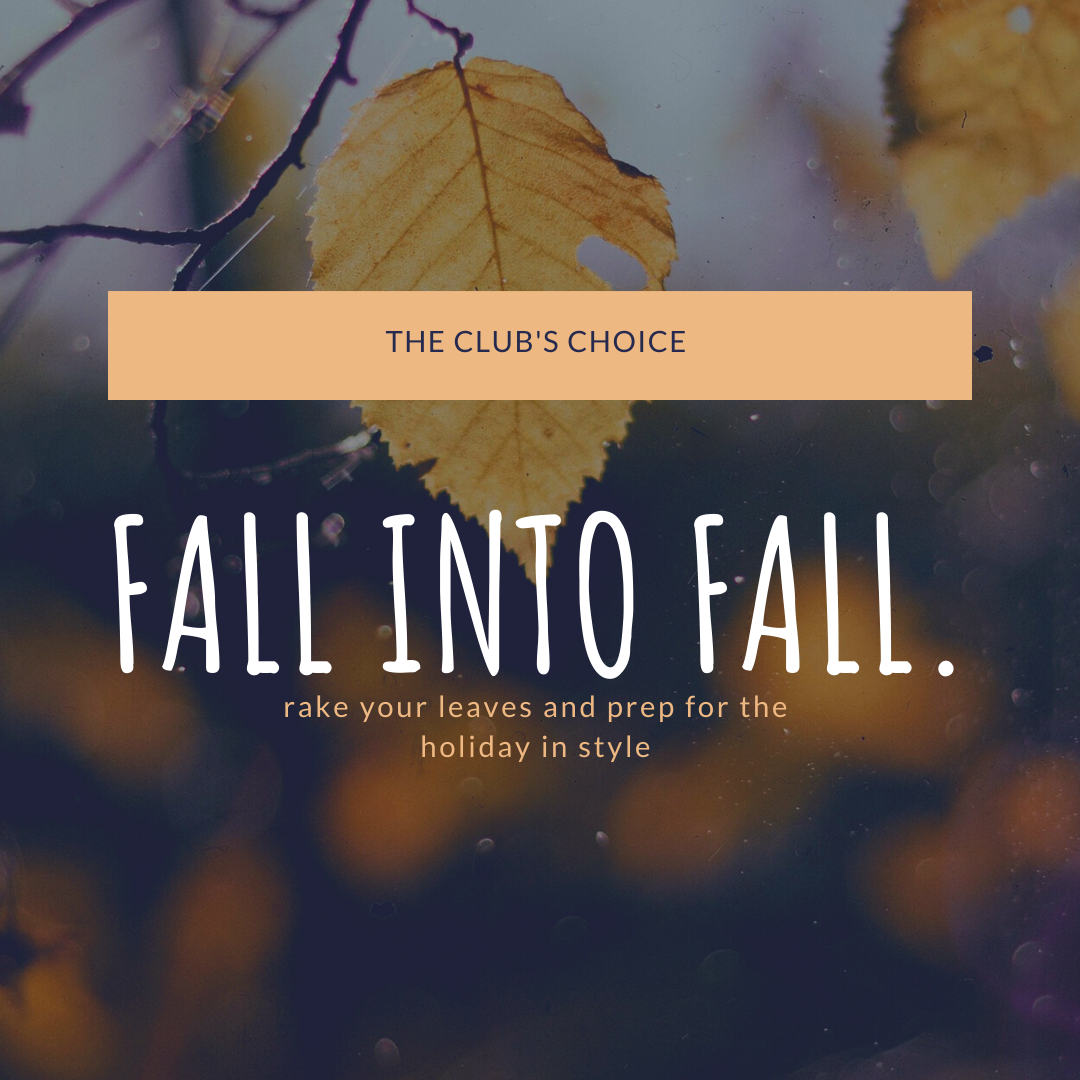 The Club's Choice: Fall into Fall
