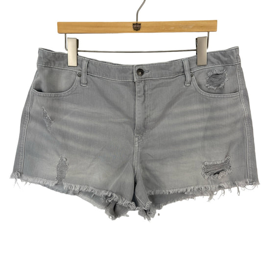 aerie Gray Cutoff Distressed Shorts - Women's Size XL