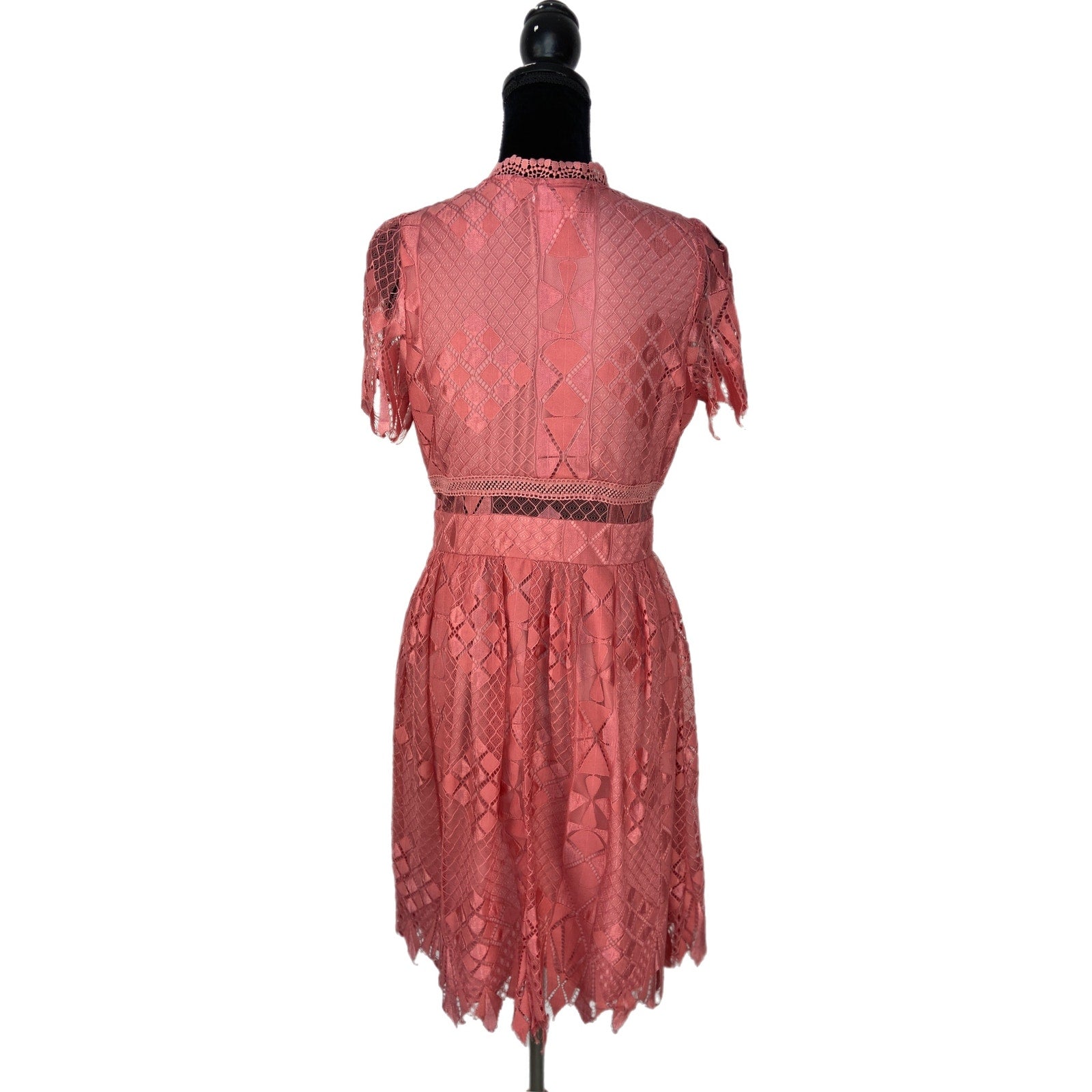 Foxiedox Bravo Zulu Lace Fit & Flare Dress In Primrose - Women's Size L